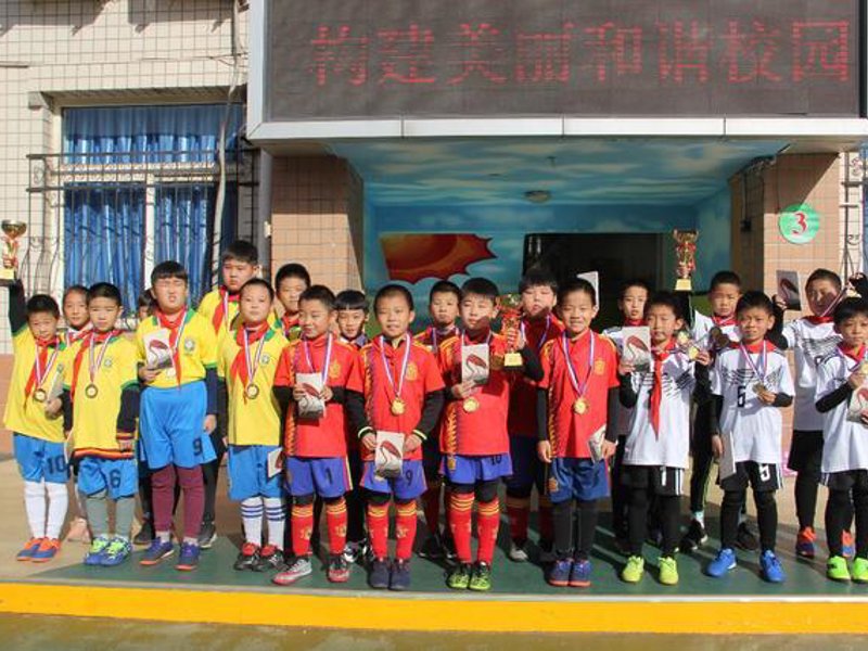 关于Bsports